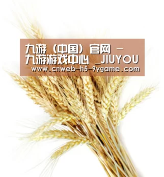 九游（中国）官网 - 九游游戏中心 _JIUYOU GAME