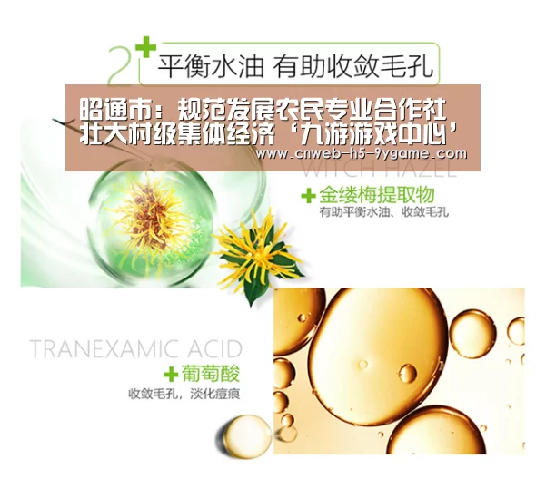 昭通市：规范发展农民专业合作社 壮大村级集体经济‘九游游戏中心’